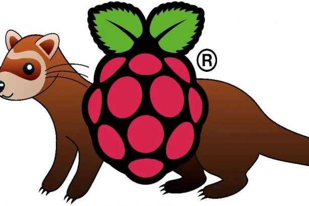 FerretPi Using Raspberry Pi as a Secure FTP Server