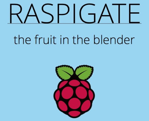 Raspberry Pi Gate Opener