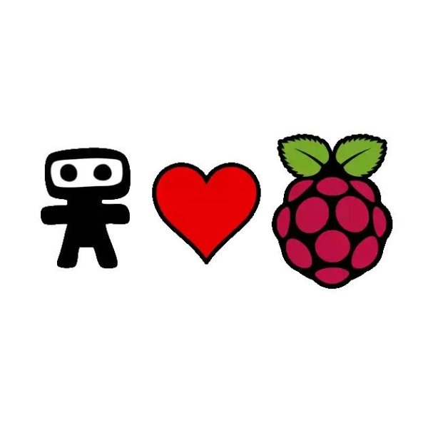 Raspberry Pi Thief Detector