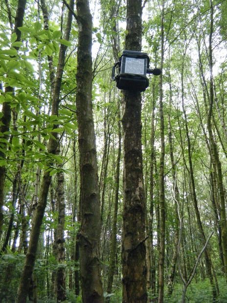 ARUPi  A Low Cost Automated Recording Unit for Soundscape Ecologists