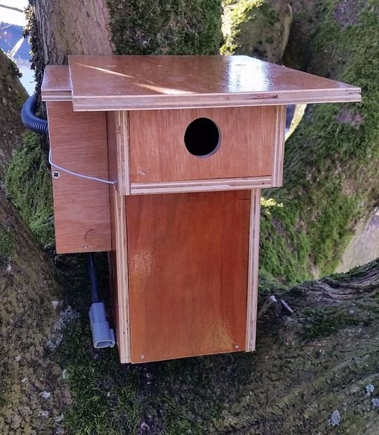 Raspberry with cam in birdhouse schematich