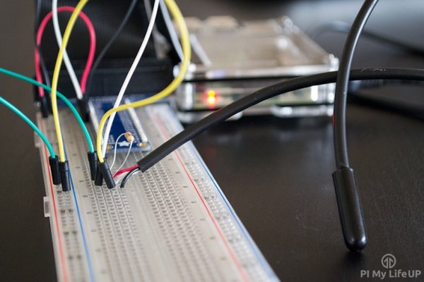 raspberry pi temperature sensor build a ds18b20 circuit