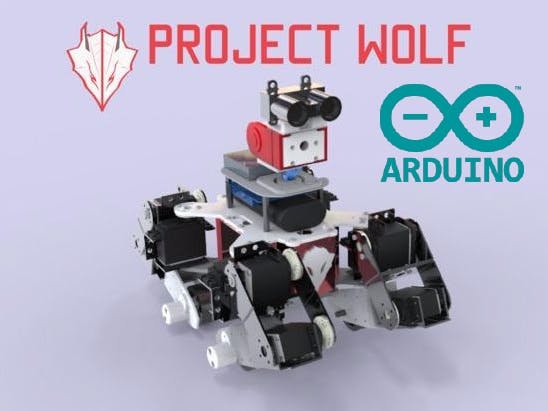 multi terrain robot