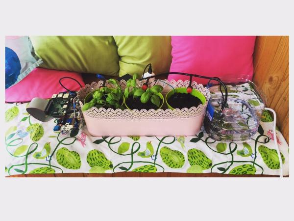 automatic plant watering system