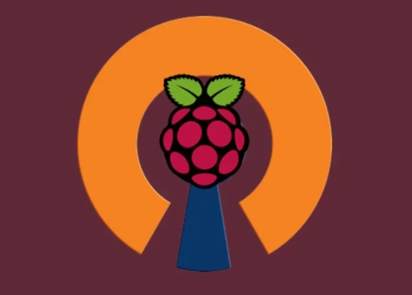 DIY Raspberry Pi VPN server project