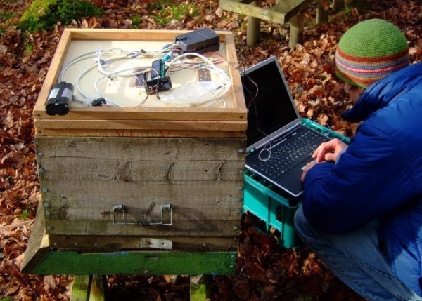 Raspberry-Pi-bee-monitor-system-created-by-Glyn-Hudson