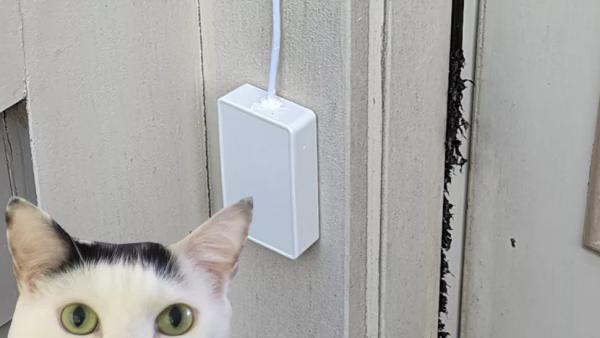 Raspberry Pi Cat Doorbell Listens for Meows